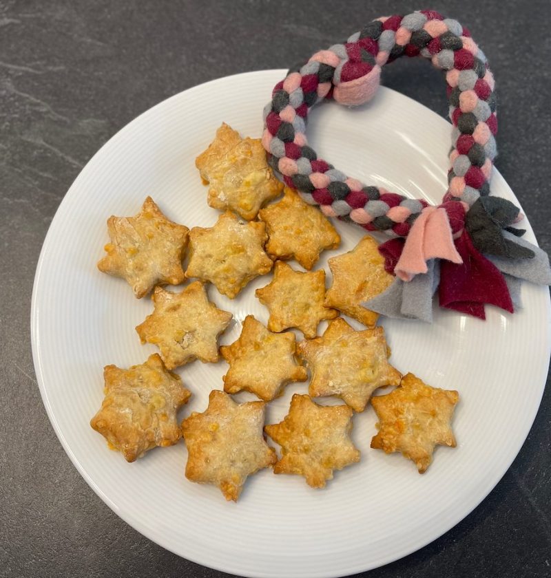 13 Käsekekse 22 Käsekekse für Hunde von Doggi-Dog.com auf Rezeptfamilie