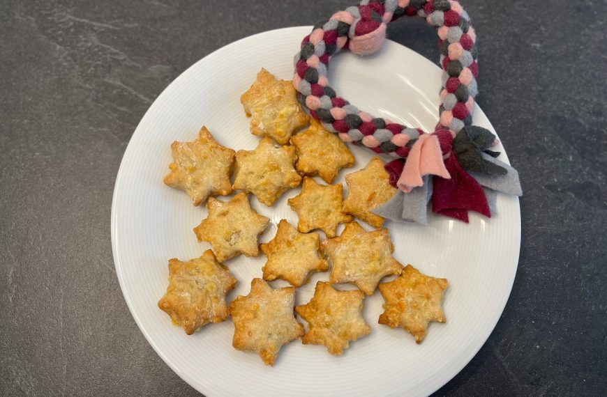 Rezepte für Hunde 6 Käsekekse für Hunde von Doggi-Dog.com auf Rezeptfamilie