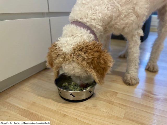 Luna schmeckt es - Putenpfanne mit Gemüse - Rezept von Doggi-Dog.Com präsentiert von Rezeptfamilie