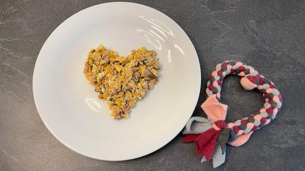 1 Portion Thunfisch Rührei 2 angerichtet auf einem Teller Thunfisch Rührei für Hunde - Rezept von Doggi-Dog.de - Rezeptfamilie