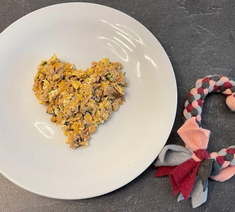 1 Portion Thunfisch Rührei 24 angerichtet auf einem Teller Thunfisch Rührei für Hunde - Rezept von Doggi-Dog.de - Rezeptfamilie