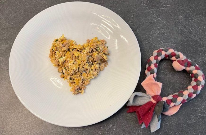 Rezepte für Hunde 2 angerichtet auf einem Teller Thunfisch Rührei für Hunde - Rezept von Doggi-Dog.de - Rezeptfamilie