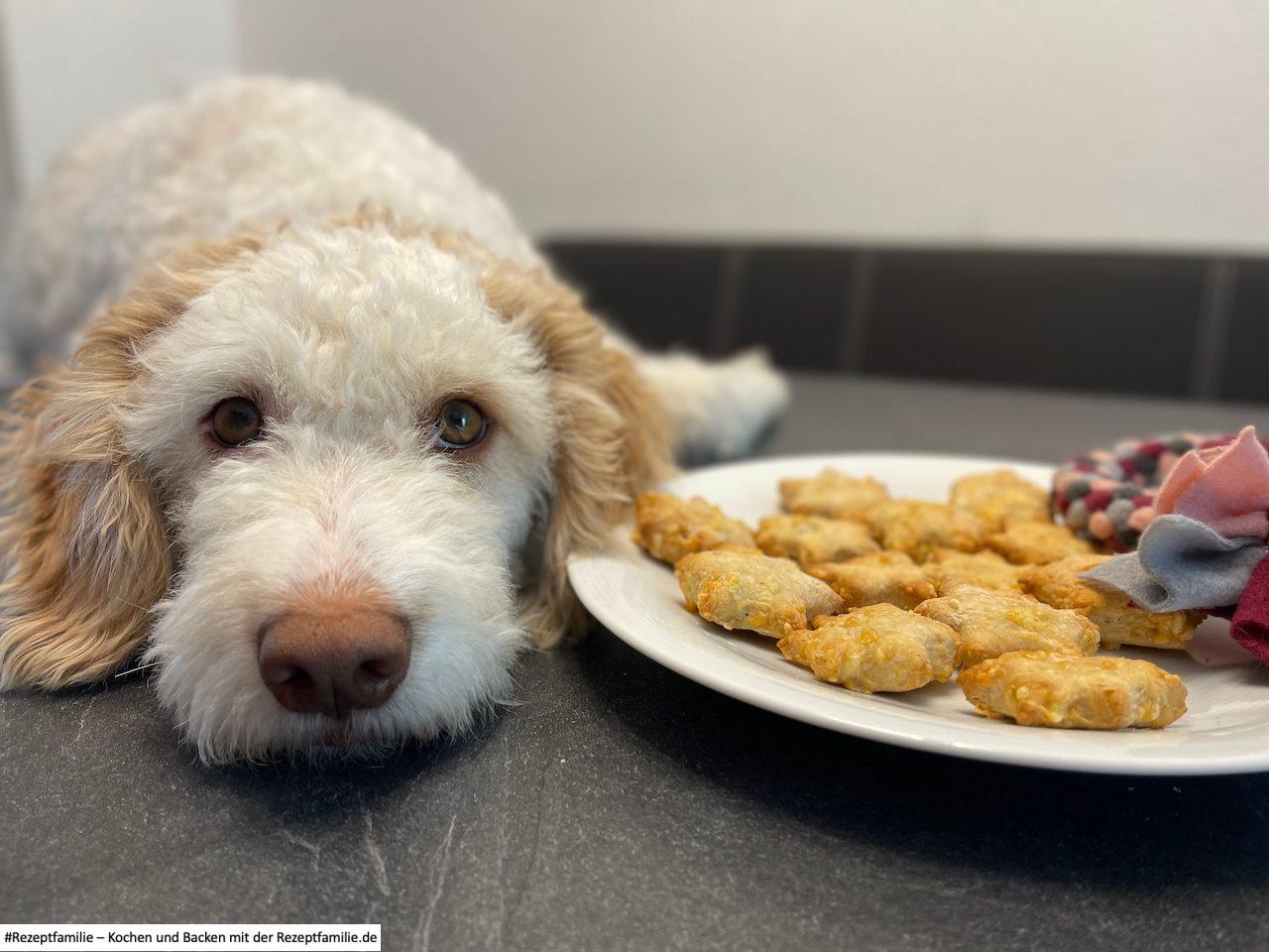 13 Käsekekse - Rezeptfamilie 13 Käsekekse - Rezeptfamilie