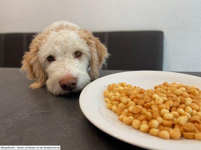 Luna kann es kaum erwarten - Parmesan Leckerlis - Rezept von Doggi-Dog.com präsentiert von Rezeptfamilie
