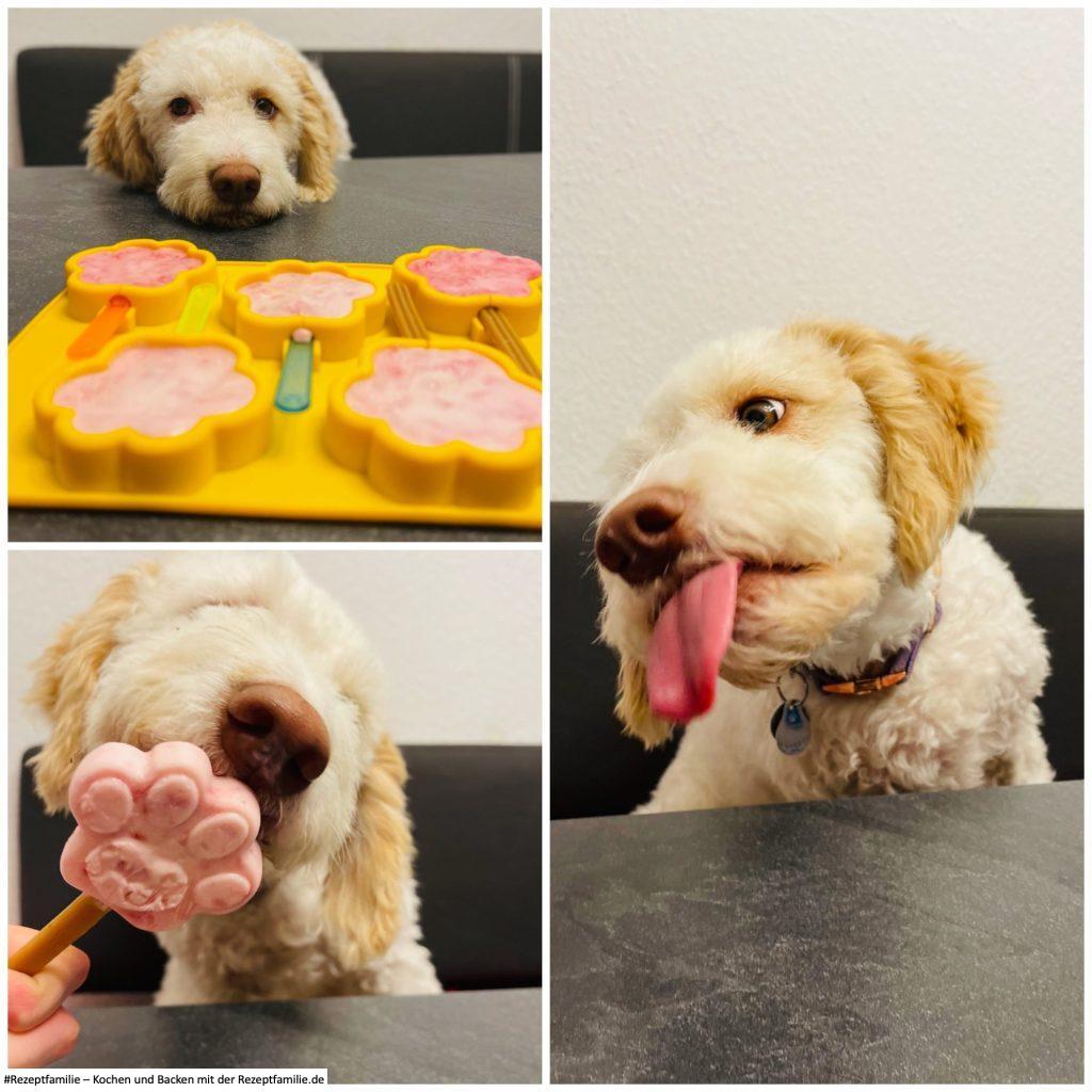 5 Himbeer Eis 3 Himbeer Eis für Hunde - vorgestellt von Doggi-Dog und der Rezeptfamilie
