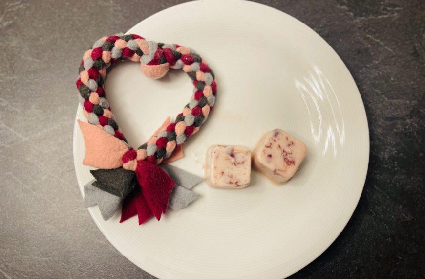 Rezepte für Hunde 5 Kirscheis für Hunde - Rezept nach Doggi-Dog.com und vorgestellt von der Rezeptfamilie