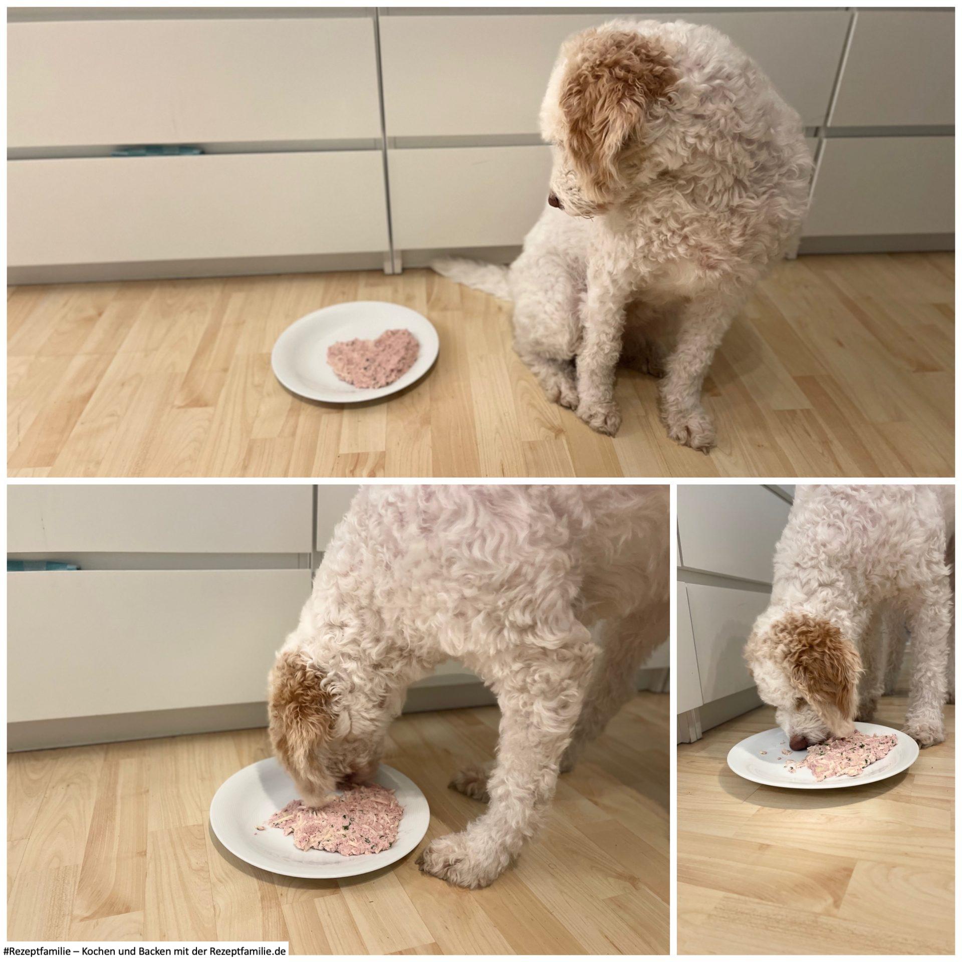 Luna testet das Leberwurstpürree - Rezept von Doggi-Dog.com - präsentiert von der Rezeptfamilie