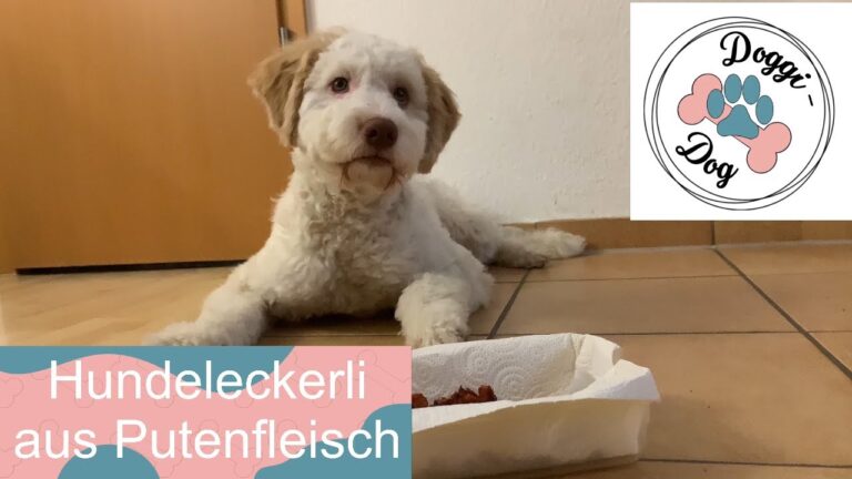 Hundeleckerli aus Putenfleisch