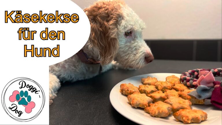 Käsekekse für Hunde