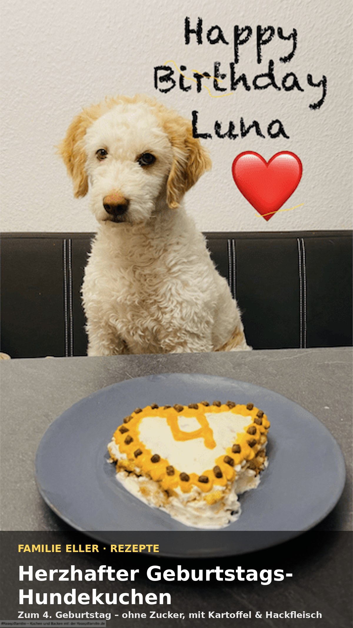 Herzhafter Geburtstags-Hundekuchen fuer Hunde mit Kerze und Dekoration